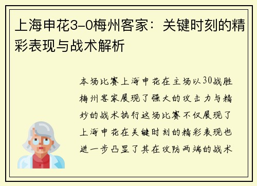 上海申花3-0梅州客家：关键时刻的精彩表现与战术解析